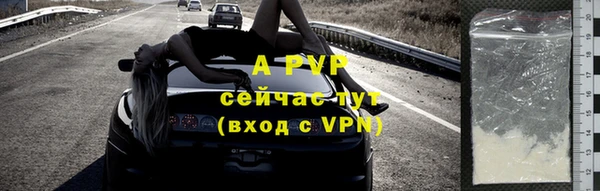 крисы Абаза