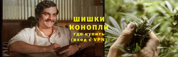 крисы Абаза