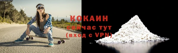 крисы Абаза