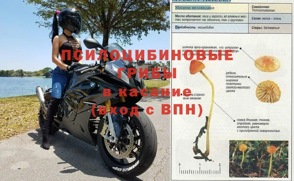 каннабис Абдулино