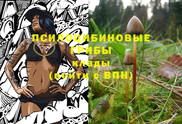 крисы Алзамай